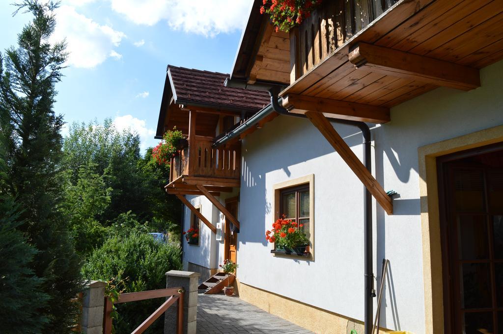 Pension Druhy Domov Nový Bor Exteriör bild